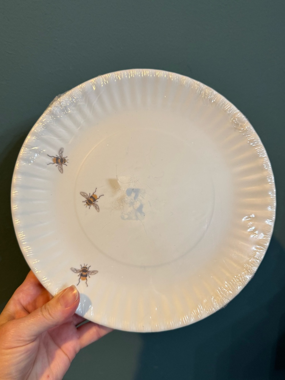 Set of 4 Melamine “Paper” plates with Bee by Mary Lake Thompson for 180 Degrees
